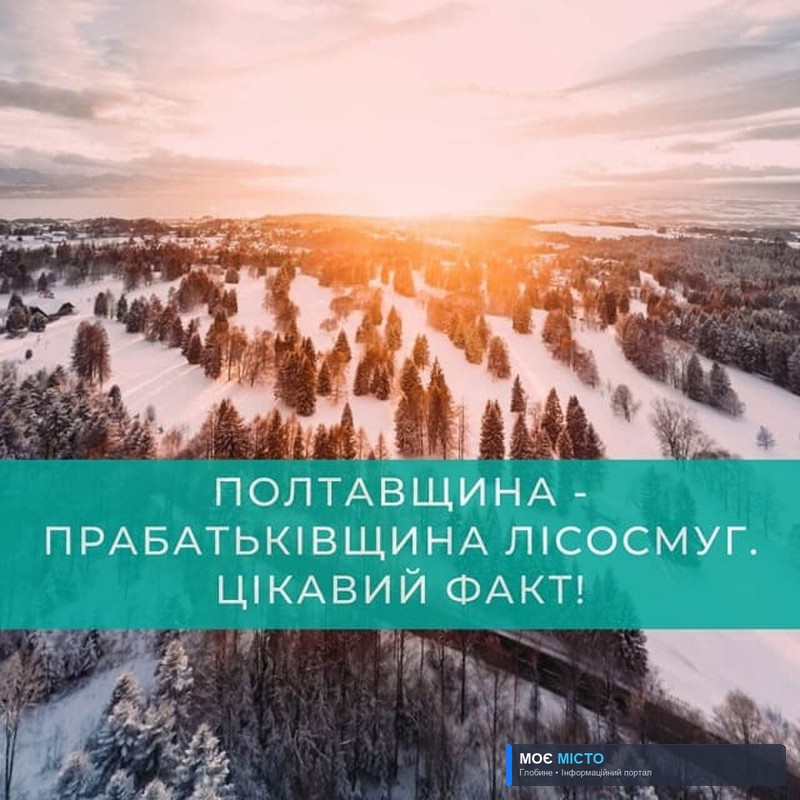 На Полтавщині відновлюватимуть лісосмуги: як долучитися глобинській громаді?