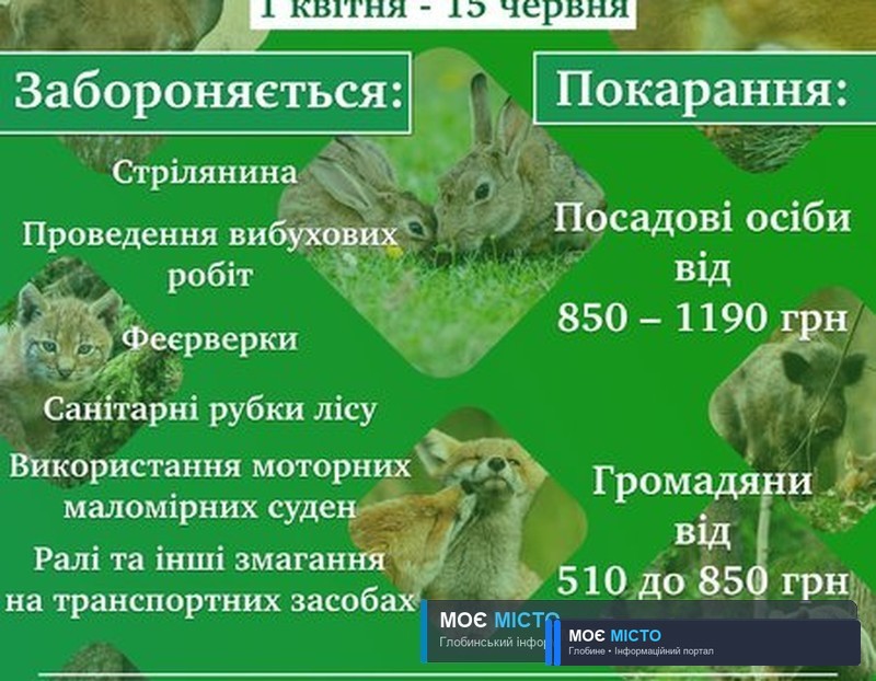 СЕЗОН ТИШІ триває на Глобинщині