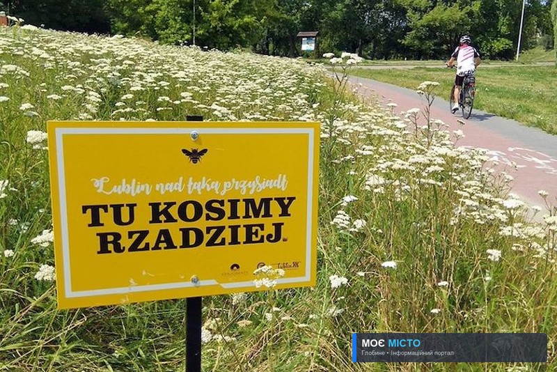 Кияни закликають тимчасово припинити скошування трави у місті