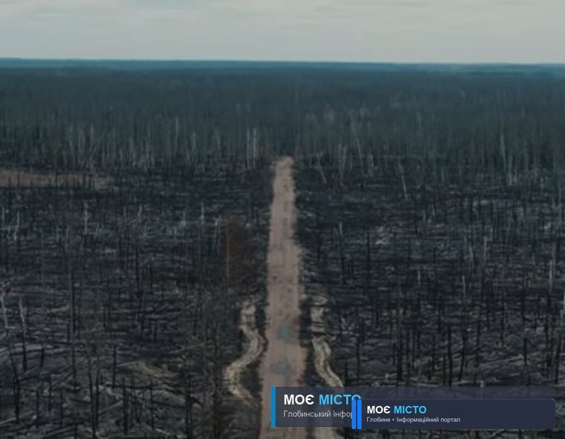 Український режисер зняв із дрона моторошні наслідки пожеж у Чорнобилі