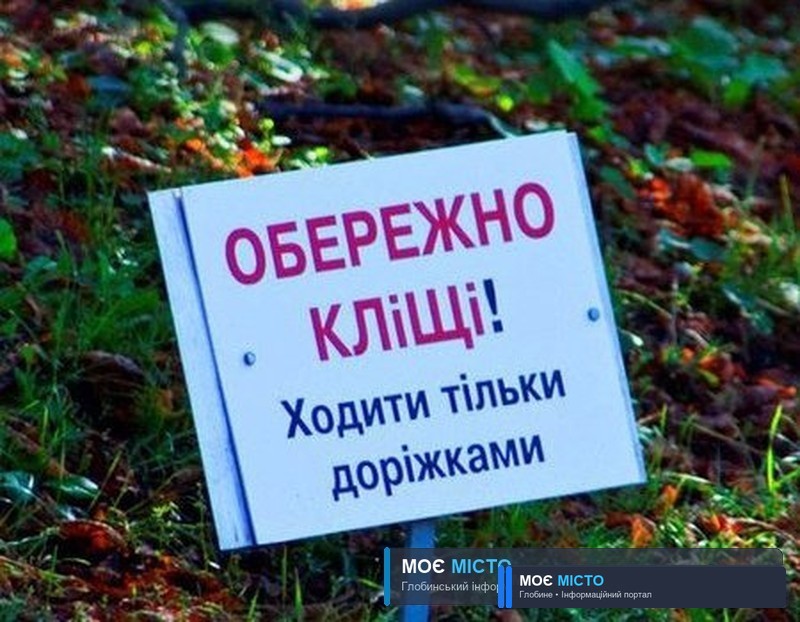 У парках та лісах Полтавщини – нашестя аномально великих кліщів