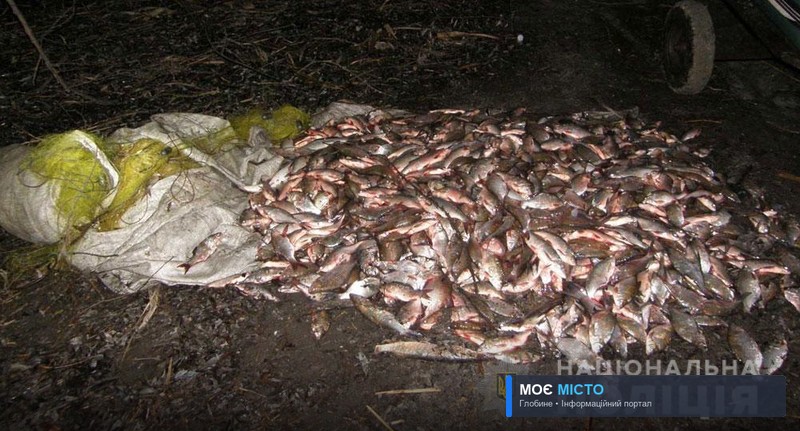 Біля Святилівки чоловік незаконно наловив 150 кг риби