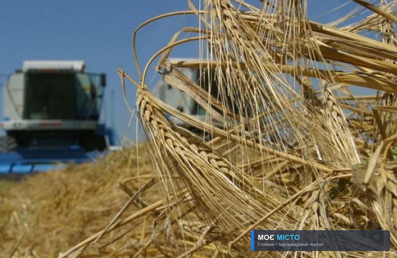 Полтавщина увійшла в трійку лідерів за обсягами сільгоспвиробництва в Україні