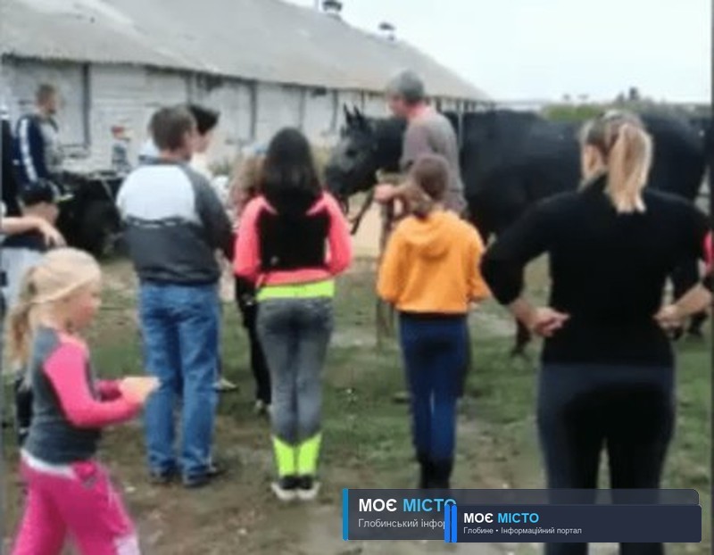 Потрібна допомога кінному двору Глобинської ДЮСШ