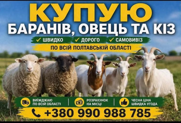 🔍 Куплю — Глобине